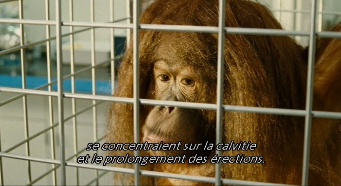Idiocracy3