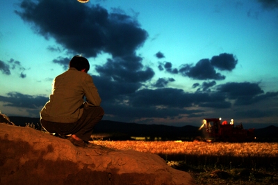 The_red_awn_still_04
